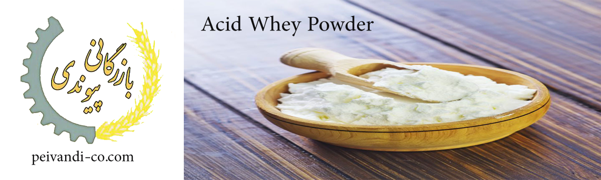 Acid Whey powder - Peyvandi Trading